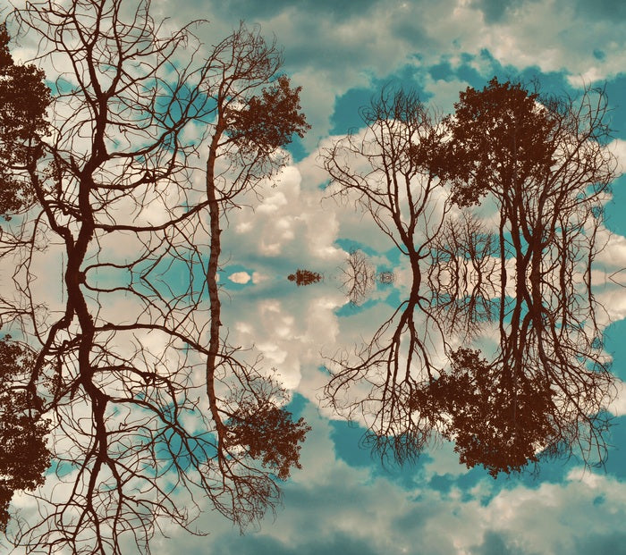 “Cloud Dance” by Claire Ibarra