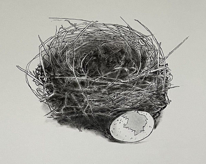 “Hatched” by Connie Murray