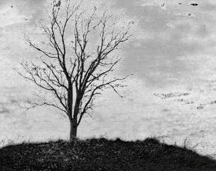“Fade to Black, Peace Unrequited” by Nicole Martinelli