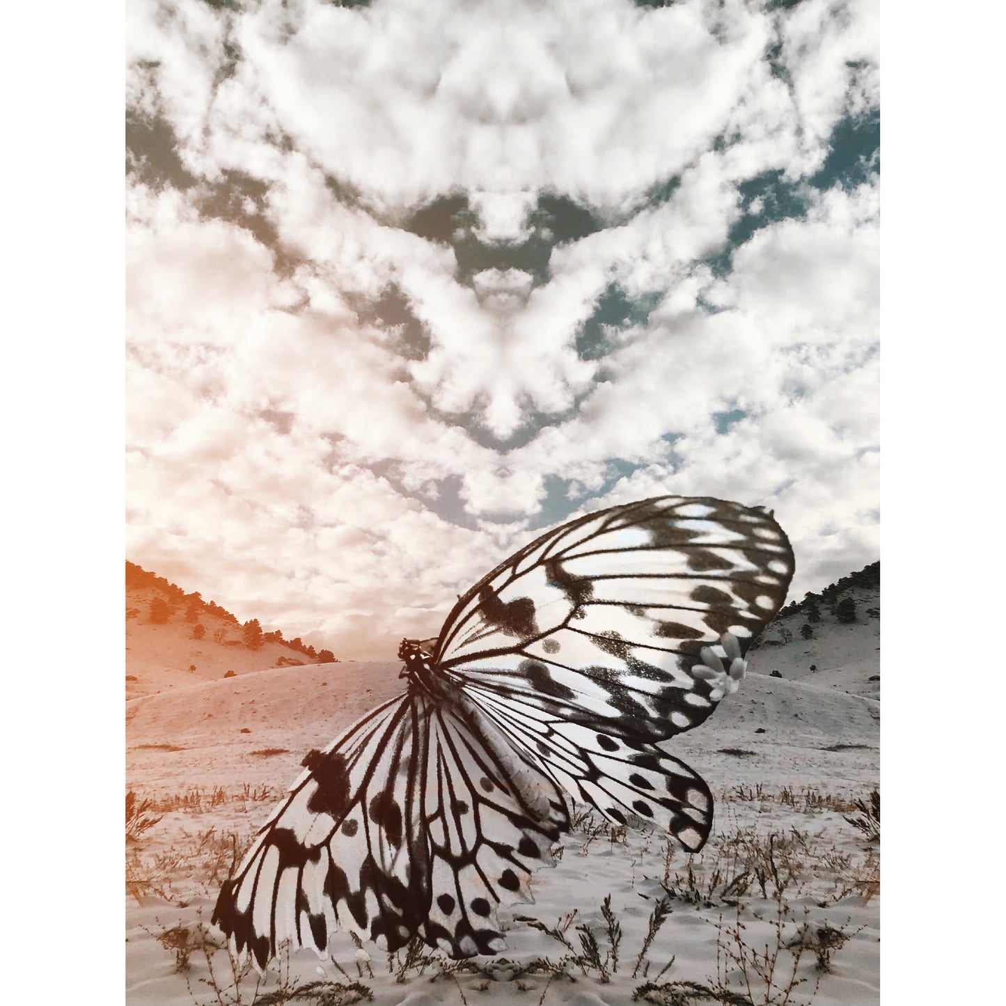 Cloud Angel by Claire Ibarra