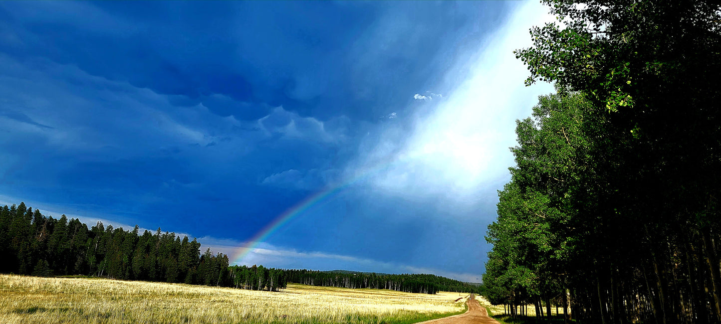 Divided Sky Angelfire New Mexico by Chris Vann