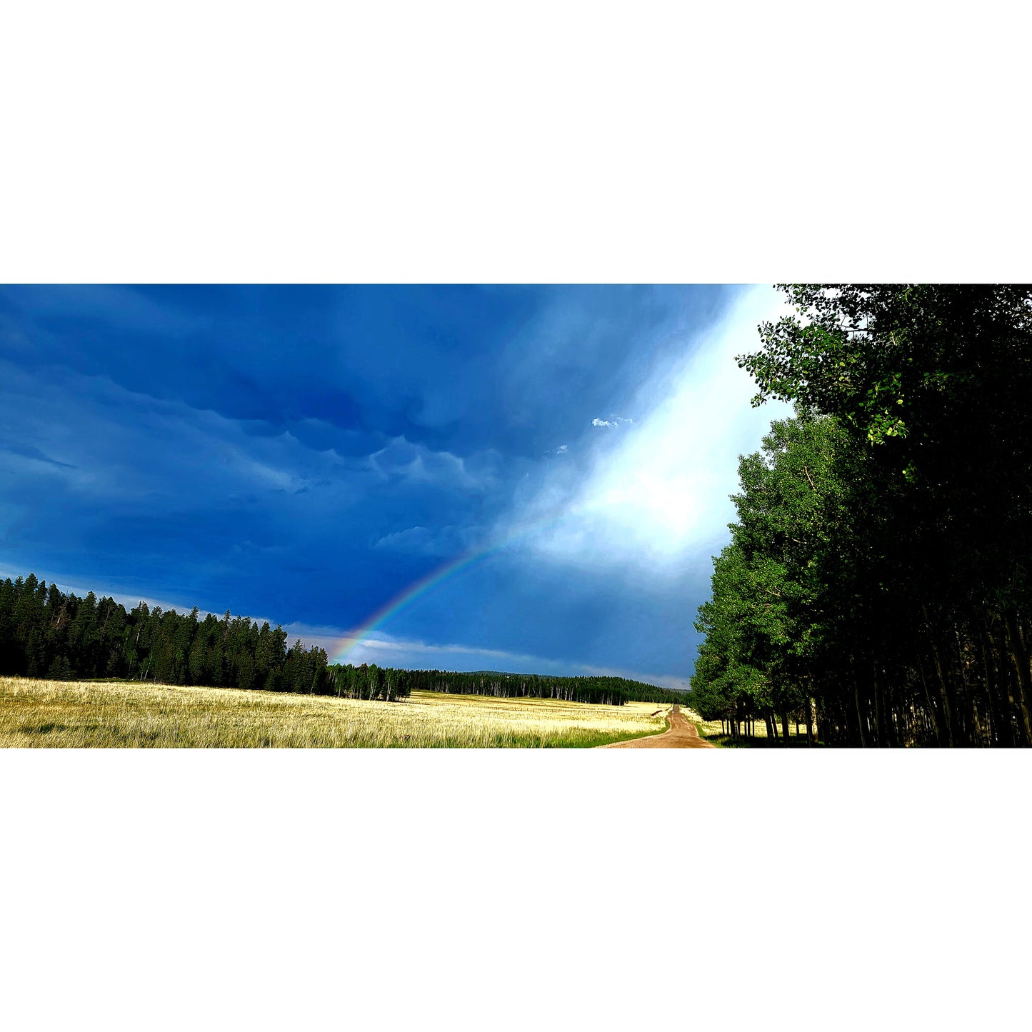 Divided Sky Angelfire New Mexico by Chris Vann