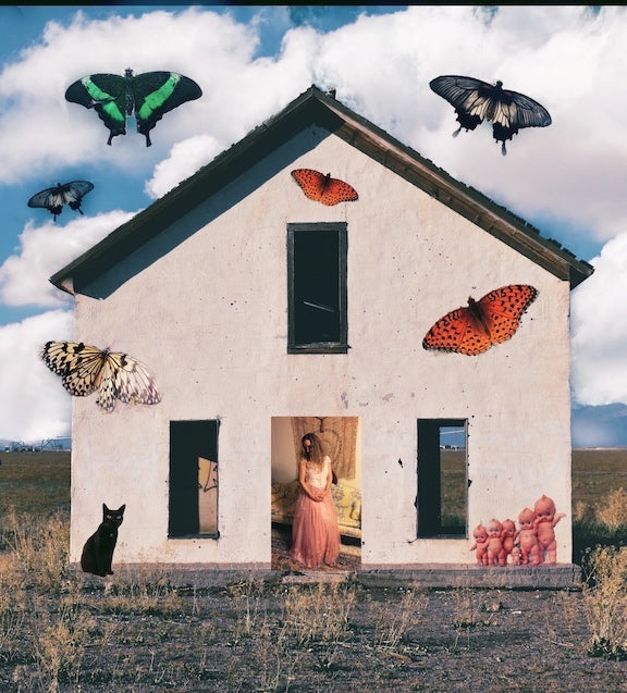 Home by Claire Ibarra