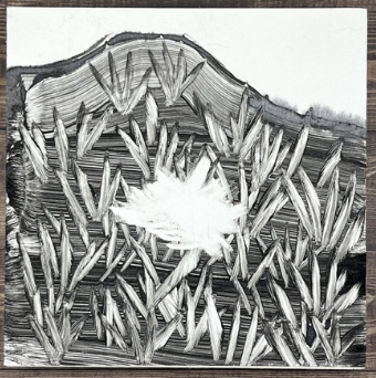 “Seed Fuzz” by Finley Baker