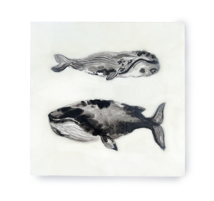 “Whale Hello Again” by Connie Luebbert