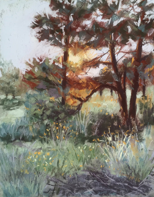 “Sunset Shining Through” by James Lunn