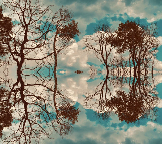“Cloud Dance” by Claire Ibarra