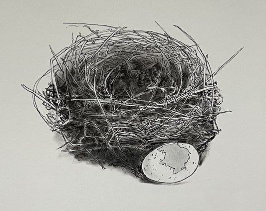 “Hatched” by Connie Murray