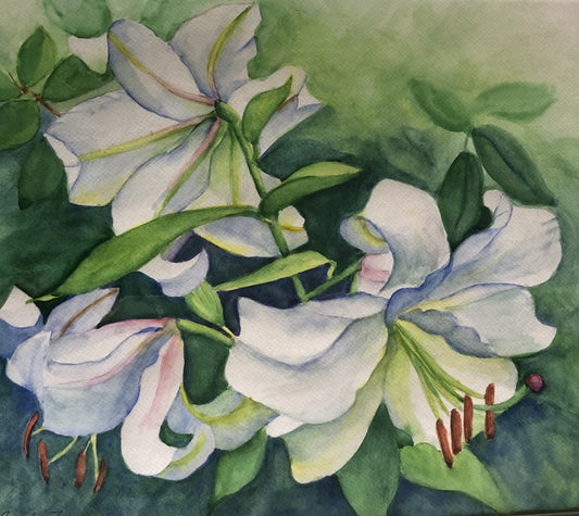 “The Lilies of Ballinagar” by Patricia Fox