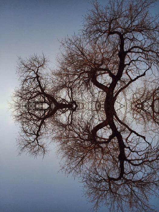 “Solstice” by Claire Ibarra