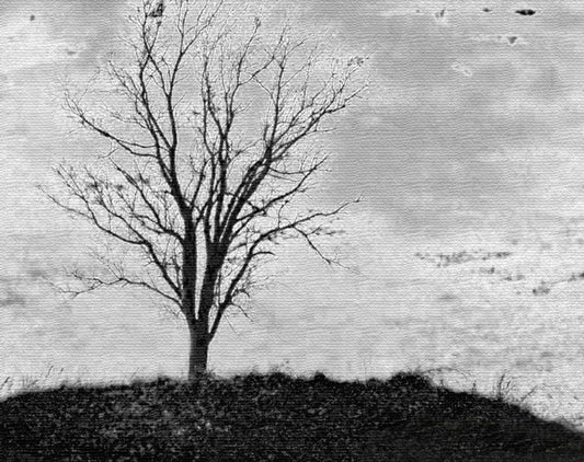 “Fade to Black, Peace Unrequited” by Nicole Martinelli