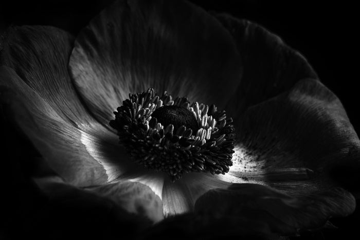 “Untitled” by William Dubocq