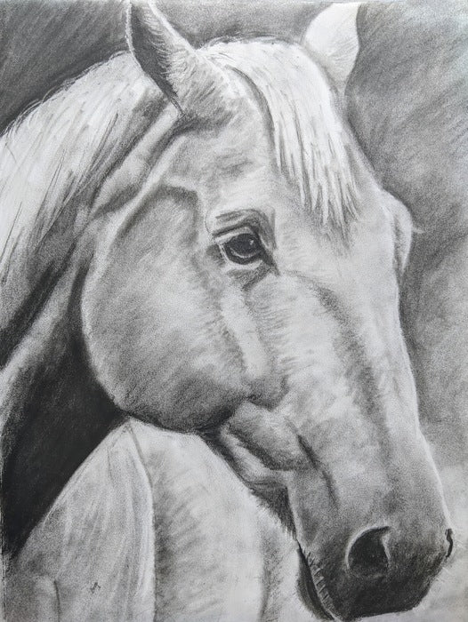 “Palomino” by Alexandra Berard