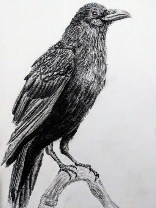 “Crow” by Alexandra Berard