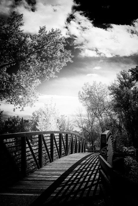 “Bohn Park Bridge” by Gautam Bhan