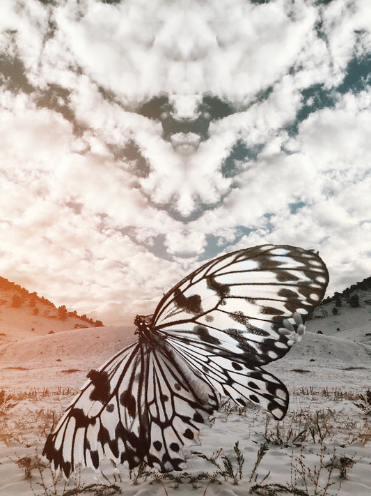 Cloud Angel by Claire Ibarra