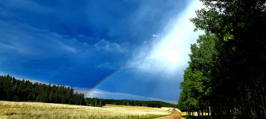 Divided Sky Angelfire New Mexico by Chris Vann