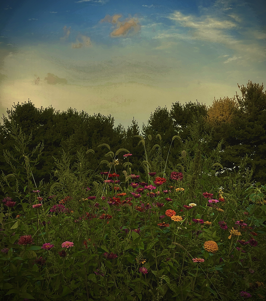 Elysium by Mary Jane Tenerelli