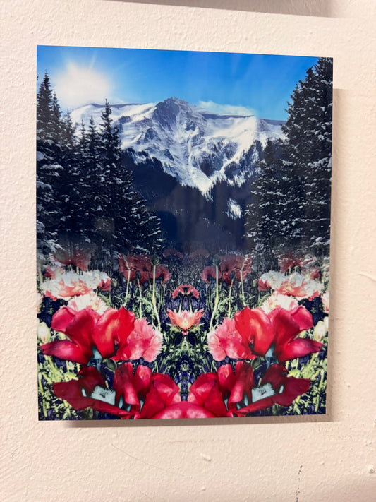 “Mountain Bliss” by Claire Ibarra