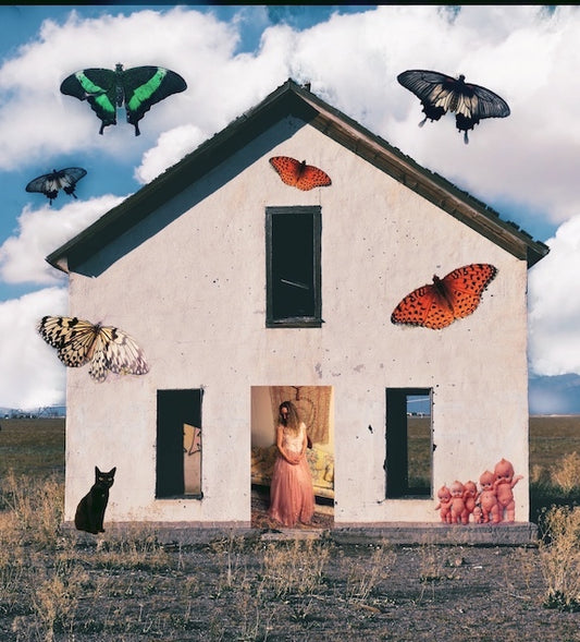Home by Claire Ibarra