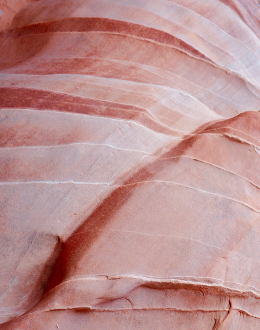 Pink by Kristi Ekern