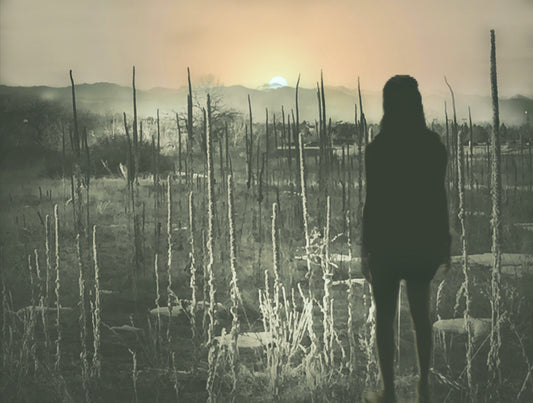 Self-Aware by Claire Ibarra
