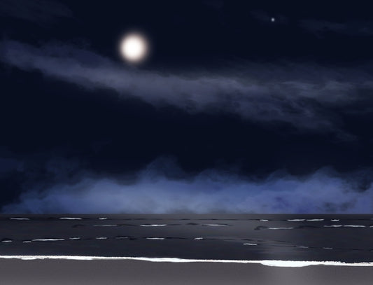 “Moonlight View at the Beach” by Barry Goldstein