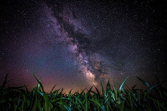 “Milky Way Maize” by Cara Brewer