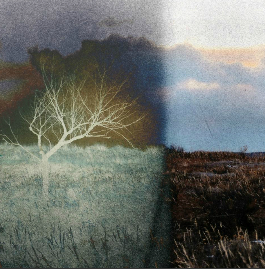 “Fragmented” by Elizabeth Kayl