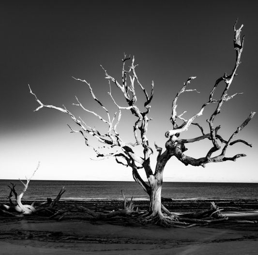 “Reaching Out” by Gautam Bhan