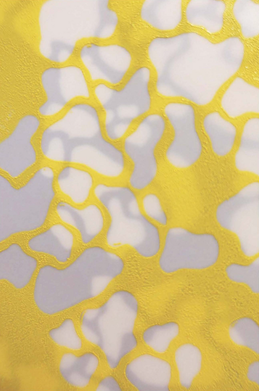 “Yellow B1 and Blue B1” by Hilary Dugas