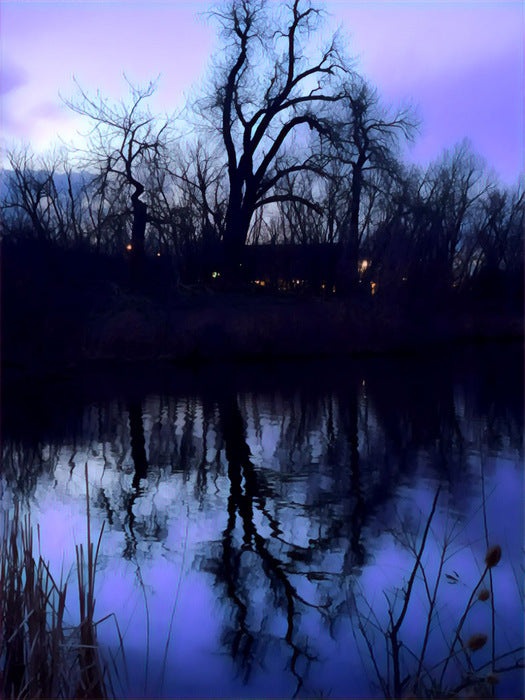 “Night Fall” by Joy Redstone