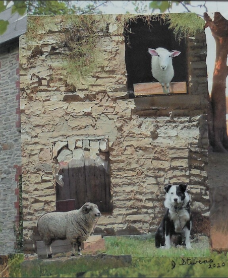 “Sheepdog” by Judy Stevens
