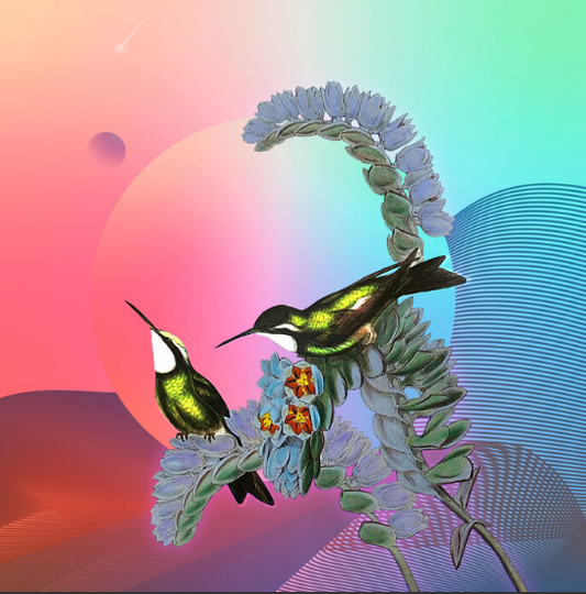 “Oreopyra Leocaspis” by Kirstie Rothauge