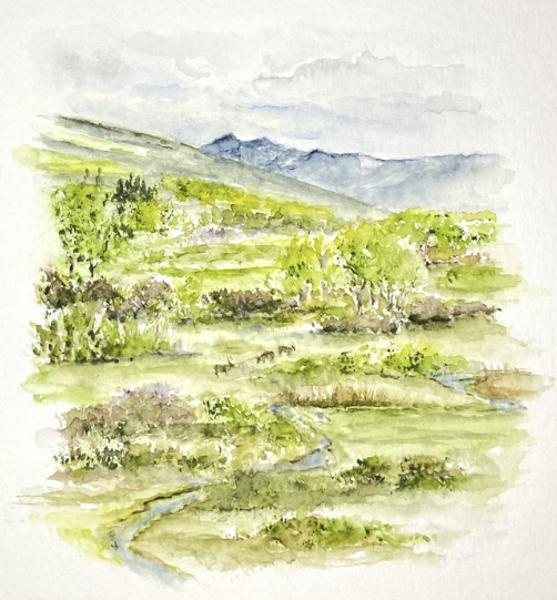 “Elk in the Meadow” by Lisa Navarre