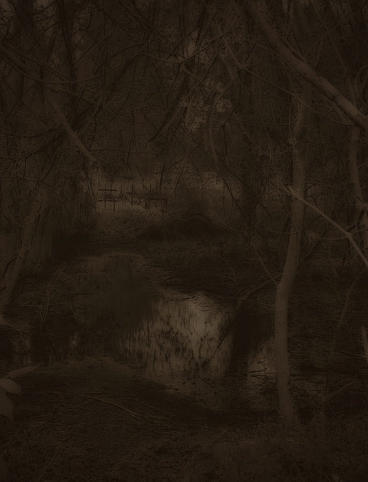 “Dreamscape” by Mary Jane Tenerelli