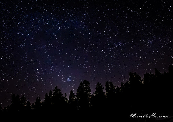 “Starry Night” by Michelle Haarhues