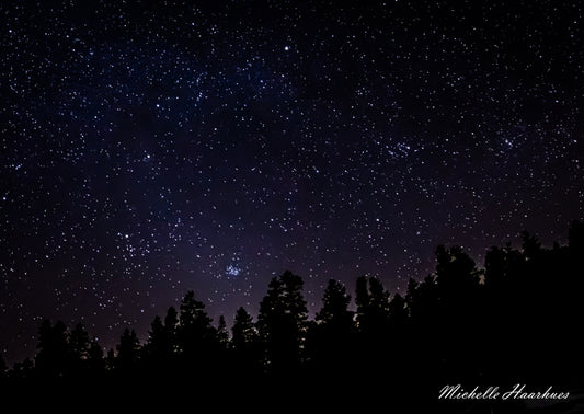 “Starry Night” by Michelle Haarhues