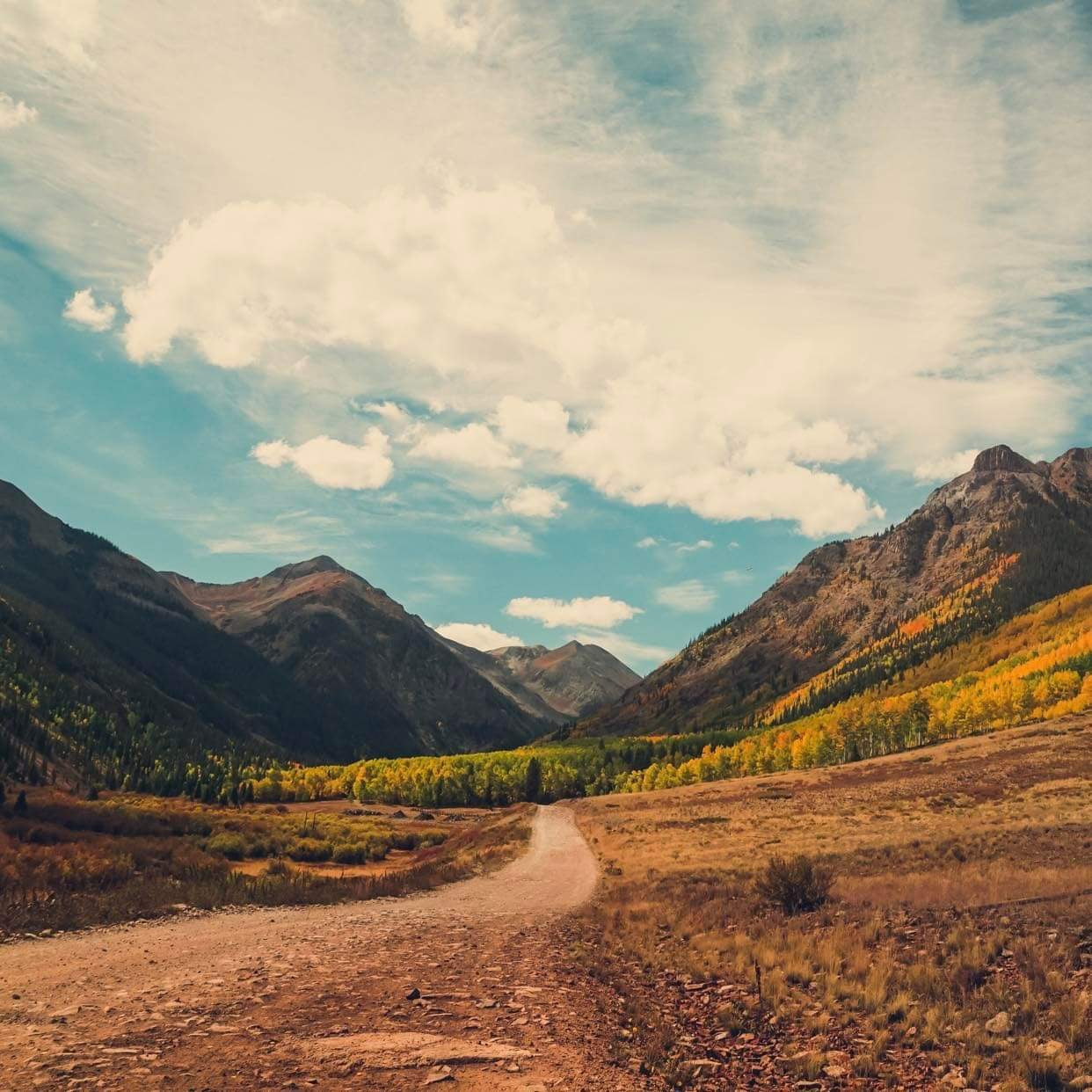 “Road to Adventure” by Sarah Griggs
