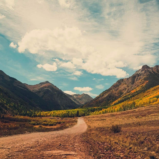 “Road to Adventure” by Sarah Griggs