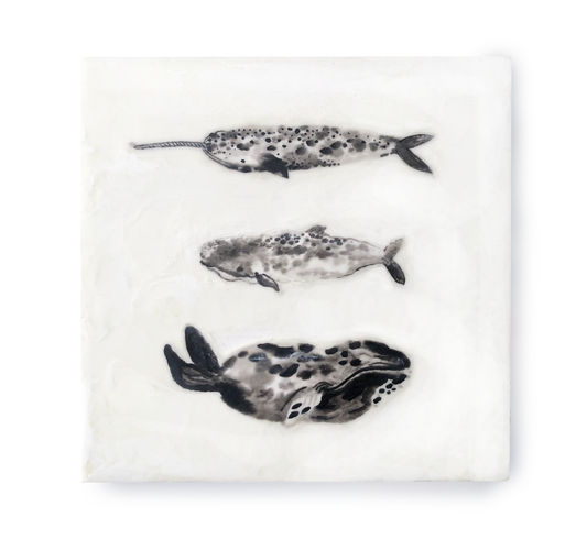 “Whale Hello” by Connie Luebbert